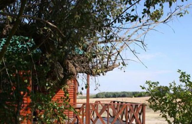 Intaba Thulile - Photo 12