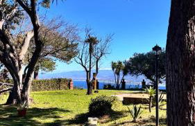 Bouganville in Villa Greco - Foto 71