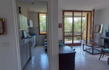 Wonderful apartment in the pine forest - Foto 5