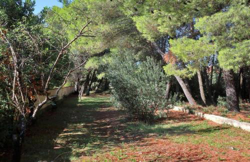Holiday house Casa Nostra - Foto 30