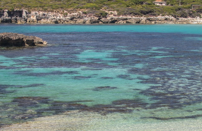 Hanson Bay Wildlife Sanctuary and Cabins - Photo 22