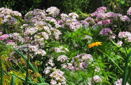 Casa de Pereiró - Foto 36