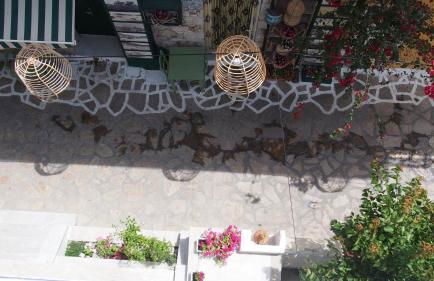 Studios Iris - Foto 70