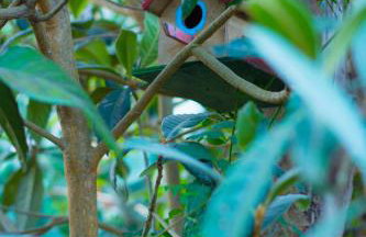 Casa rural Bejeque - Foto 59