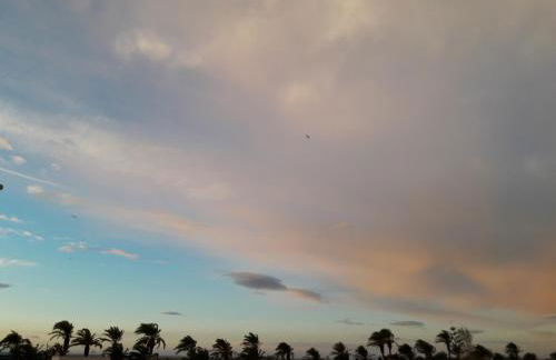 Lo Segador - Foto 21