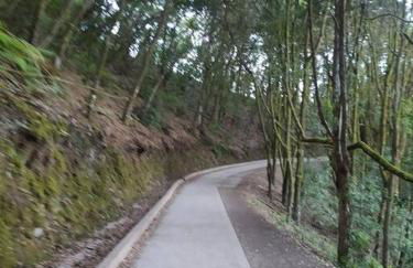 Casa el Monte - Foto 12