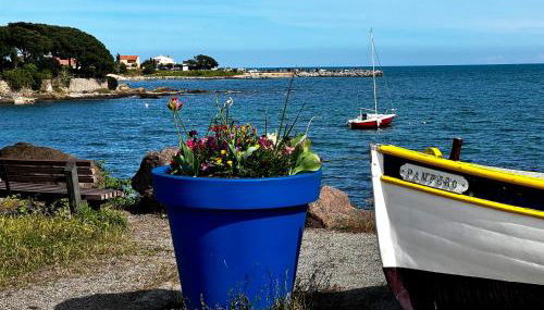 T1 bord de mer avec piscine dans residence privée - Foto 2