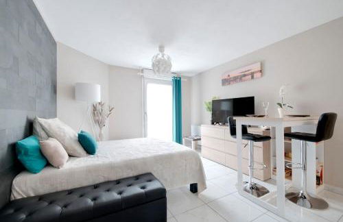 :) Grand studio lumineux à Toulouse et parking - Foto 1