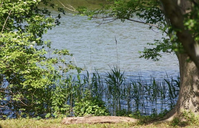 Farm at Grebiner See - Foto 8