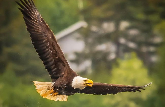 Lakeshore Suites - Foto 17