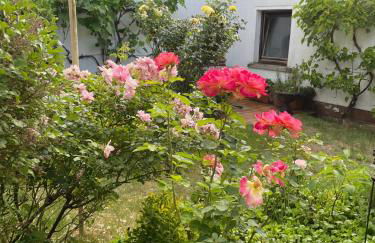 Charming, bright family home with conservatory - Foto 21