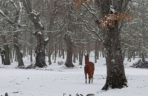 Casa Rural Rincón - Foto 39