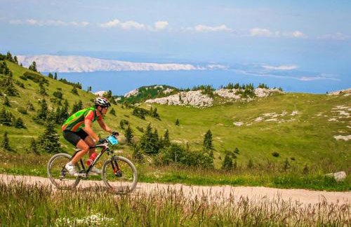 Holiday Home Magna Tilia by Interhome - Foto 101