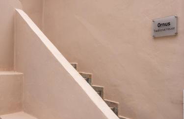 Ornus Traditional House - Foto 21