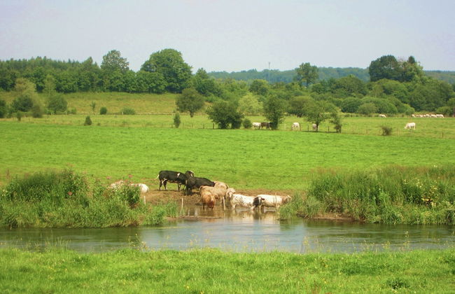 Beautiful Ardennes House in Quiet Area - Photo 40