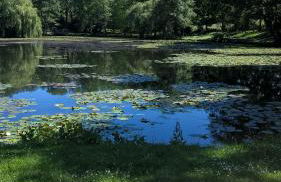 Ferien Apartment Antonie-Haupt-Straße - Foto 6