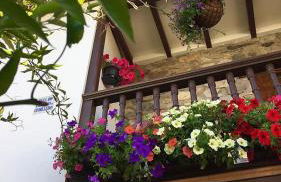 La Casona de Benito - Foto 23