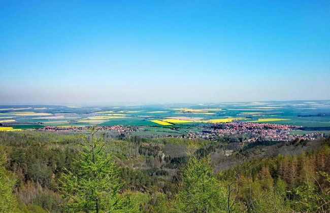Apartment in Harz With Terrace and Fireplace - Photo 22