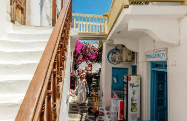 Mr & Mrs Mykonos The Residence - Foto 43