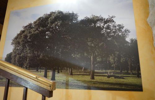 Casa Rural La Abuela Marcelina - Foto 25