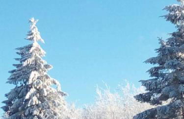 CrisAnd Wald &Terrasse - Foto 5