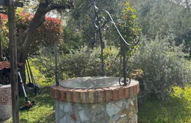 LA CAPANNA Casale in pietra con piscina - Foto 40