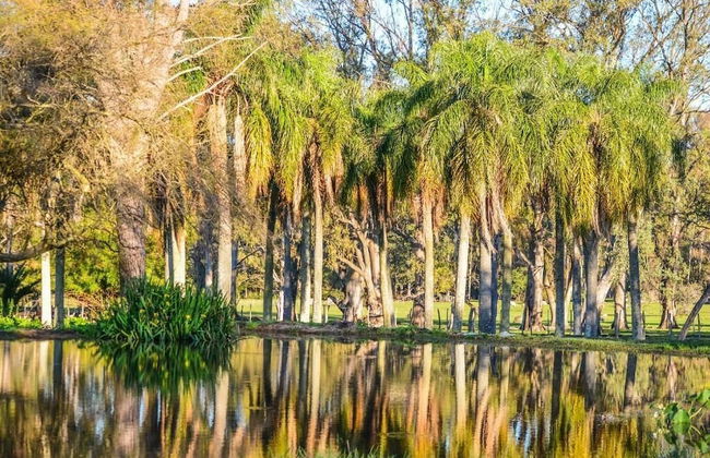 Estancia La Violeta - Foto 50