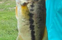 Cabin 2 - steps from the river! - Foto 15