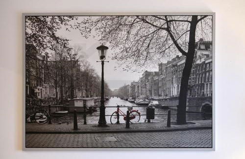 Campoamor Centro - Coqueto apartamento con WiFi. - Photo 14