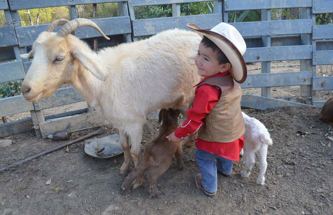 Paseo a caballo por la Sierra de Santa Rosa - Foto 8