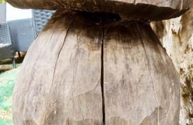 Casita en la Sierra - Foto 15