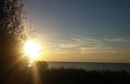 Ferienwohnung Rügen-Freiheit - Foto 30