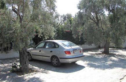 Palirria Hotel & Studios - Photo 26