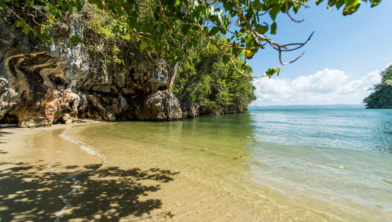 Los Haitises National Park and Cayo Levantado Trip - Photo 1