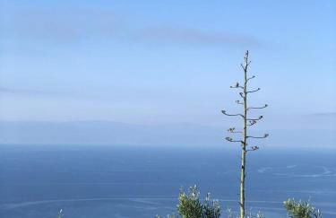 Case Quattrocchi - Giardino e Terrazzi con vista Panoramica sul Mare, Etna e Vulcano - Foto 31