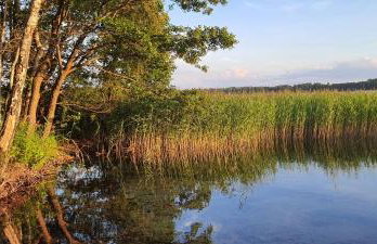 Domek Mazurski całoroczny nad jeziorem z sauną i Jacuzzi SPA - Foto 51