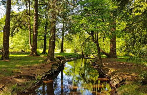 Winsor Croft - Foto 21