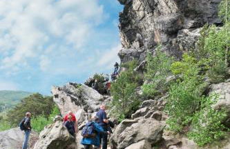 Harzer Feriengarten - Foto 67