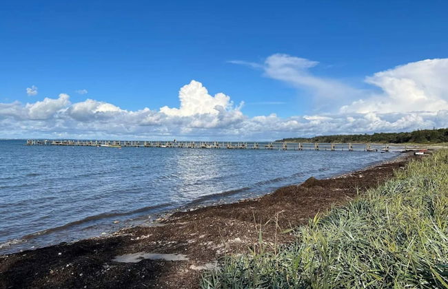 Secluded Cottage Retreat at Ordrup Naes-by Traum - Foto 32