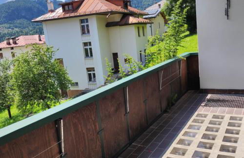 Dolomiti Mountain View - Olympics & Holidays apartment Cadore Cortina - Foto 8