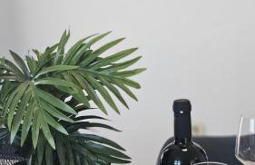 LOOK Smokvica Pag Apartmani - Foto 55