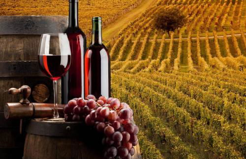 Charmant studio à Talence - Foto 9