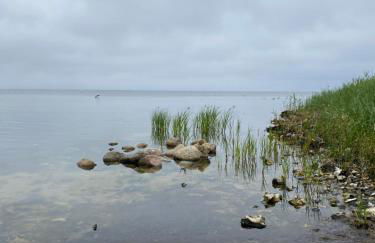 Altes Siedlerhaus Nesebanz - Foto 33