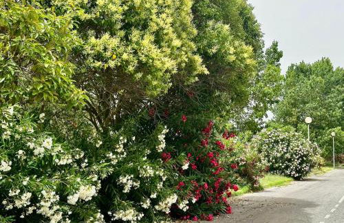 CASA MILA White - Foto 59