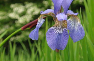 Ferienwohnung Erlkron - Foto 23