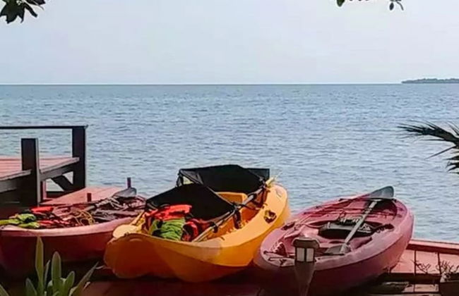 Bird Island Placencia - Foto 7