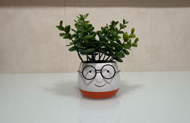 Apartamento Alameda Centro - Photo 14