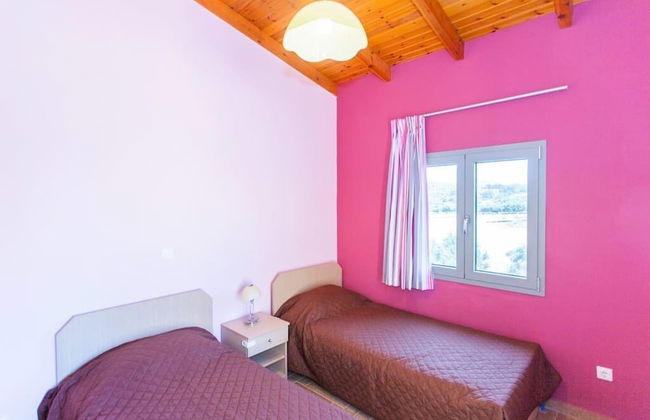 Olive Tree Farm - Foto 5