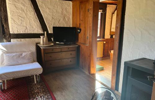 Ferienwohnung am Schlossgarten - Foto 14