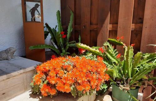 Haus Angerbichl - Foto 68